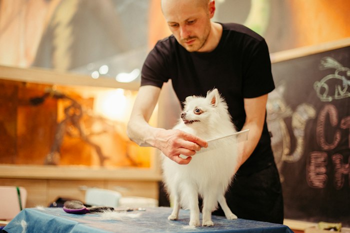 Pet groomers
